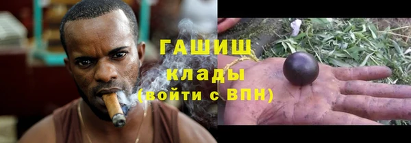 индика Армянск