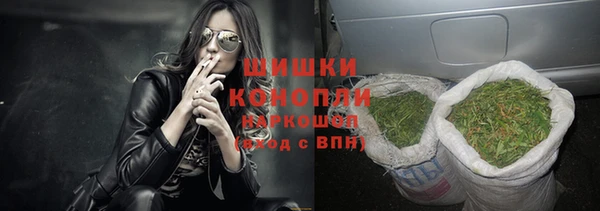 ешки Аркадак
