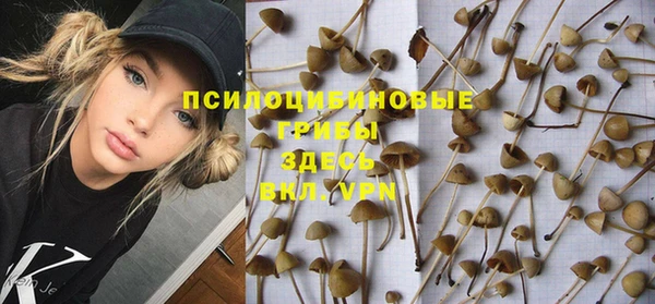 ешки Аркадак
