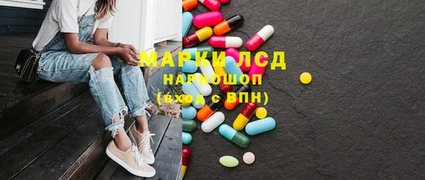 индика Армянск