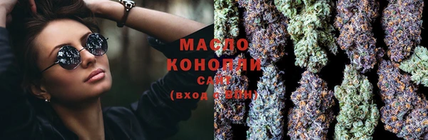 индика Армянск