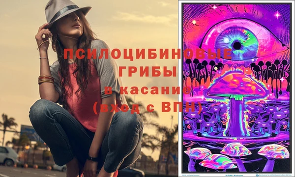 индика Армянск