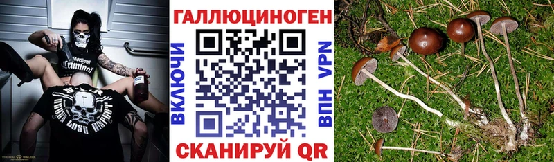 Галлюциногенные грибы прущие грибы  Аркадак 